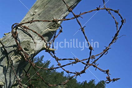 Number 8 wire and broken twisted barbed wire on an old wooden post, with clear blue sky background.