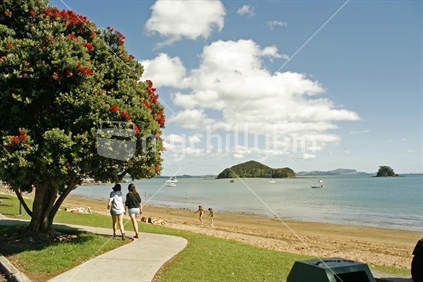 Pedestrians walking along Taiputuputu Pahia Beach with summer flowering pohutukawa trees on the grass verge, roadside