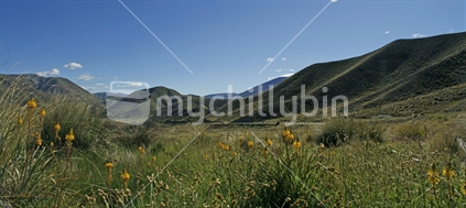 Panoramic view with wild flowers at the top of the Lindis Pass, Central Otago