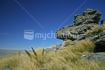 Dramatic contrasts of towering schist rock, soft tussock grass and clear blue skies, Central Otago high country farming.