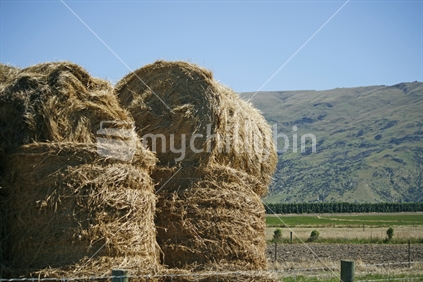Huge rolls of baled hay stacked ready to store for winter food.