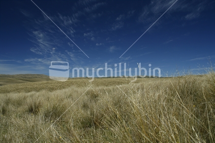 Softly rolling tussock covered farmland beneath beautiful blue skies, stretches into the distance.  Central Otago.