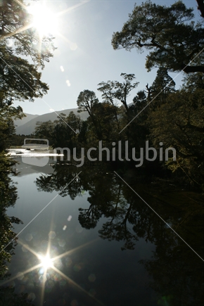 Sunburst and native beech trees, reflected in mirror like waters of Jacksons River, Westland, South Island.