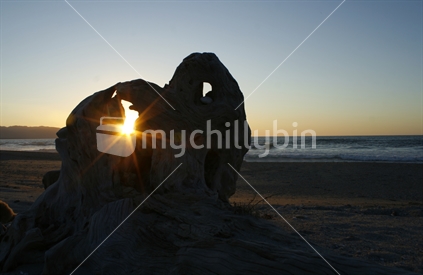 Sun setting at Haast beach, through the hole in a large tree root.