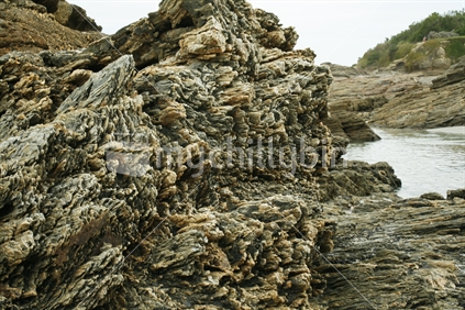 Structural schist and quartz rocks worn away with rough tidal seas. Brighton Beach, Otago, East Coast, South Island.