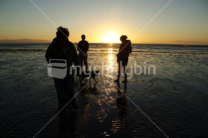 People  with their dogs, in conversation, and enjoying the beautiful sunset, Oreti Beach, Southland South Island.