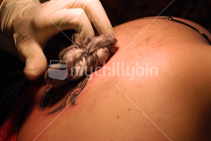 Cleaning ink of skin after tattoo.  Kirituhi. Maori tattoo skin art, or body art in New Zealand. No.4.