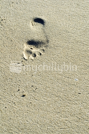 Single footprint on a golden sand beach, New Zealand.