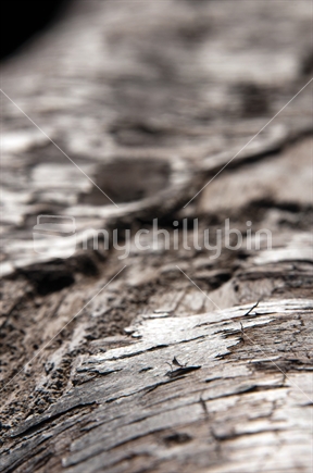 Close up of a log showing wood texture (raised ISO)