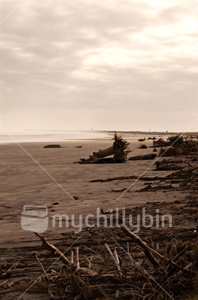 Moody view of a beach littered with driftwood debris, South Island coast, New Zealand