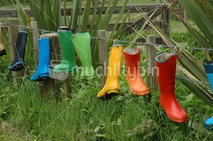 Images of colored gumboots hanging on a fence