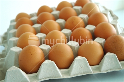 Chicken eggs of brown color in tray
