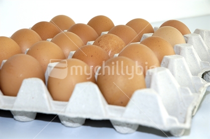 Chicken eggs of brown color in tray