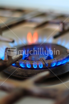 Gas Cooking Hob