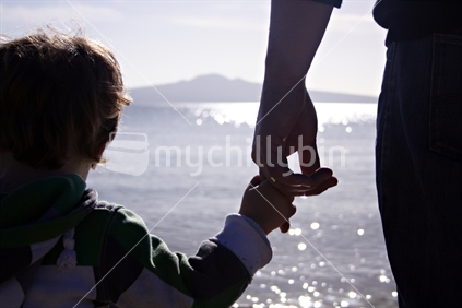 Father and Son Holding hands, Silhouetted against Rangitoto Island, Mission Bay, Auckland