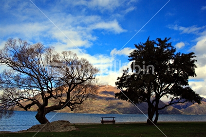 Trees and empty bench seat silhouetted against Lake Wakatipu Queenstown, South island