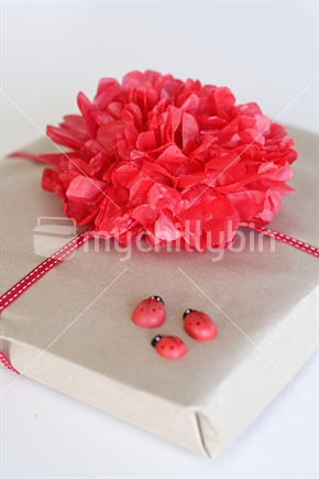 Designer wrapped gift with red tissue paper pom pom. (a)
