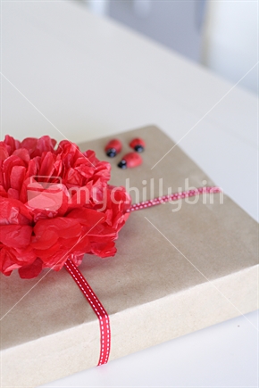 Designer wrapped gift with red tissue paper pom pom. (c)
