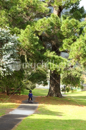Boy riding balance bike through a tree lined path.