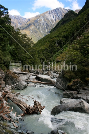 Wild stream, South Island, New Zealand