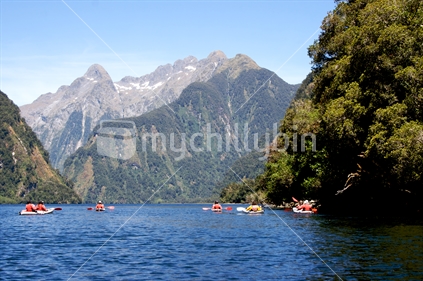 A group of kayakers, Doubtful Sound, Fiordland, New Zealand.
