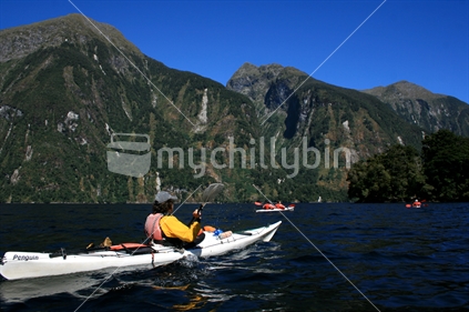 A group of kayakers, Doubtful Sound, Fiordland, New Zealand.