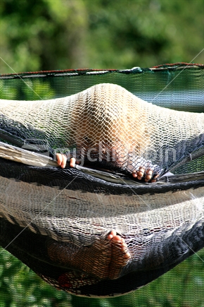 Child playing hide and seek in hammock