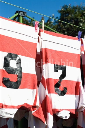 Rugby jersey drying in New Zealand sun.