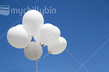 White balloons, with blue sky background