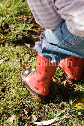 Little girl out walking on grass with red and black polka dot lady bird gum boots