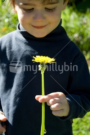 Boy picked a flower for his mum