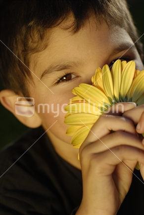 A cute young boy sniffs a flower