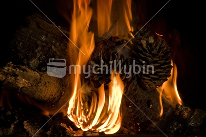 Pine cones and logs burn in a fireplace
