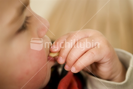 A young toddler eats a french-fry