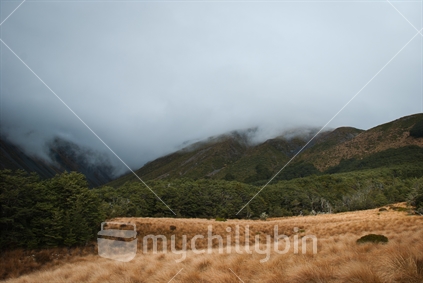 Foggy mountains in Nelson Lakes National Park