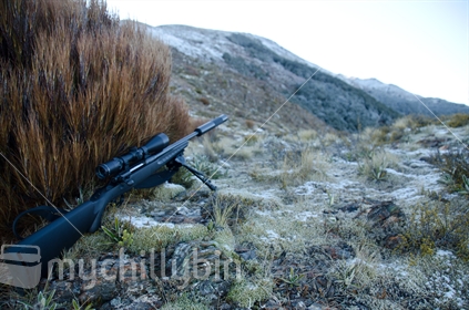 Rifle hidden behind a shrub during a hunt