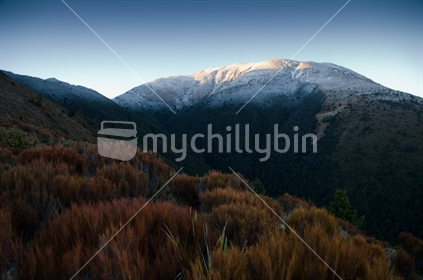 Gordons Knob covered in frost in the Gordon Mountain Range