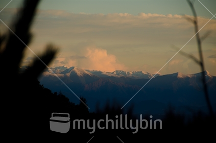 Snow capped Southern Alps 