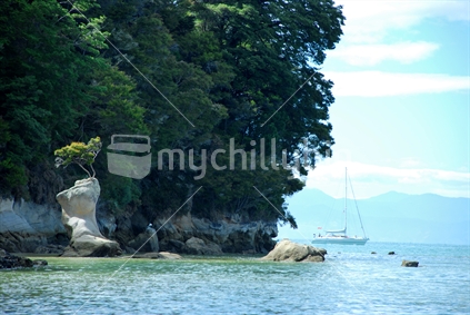 A yacht passes by in Abel Tasman National Park 