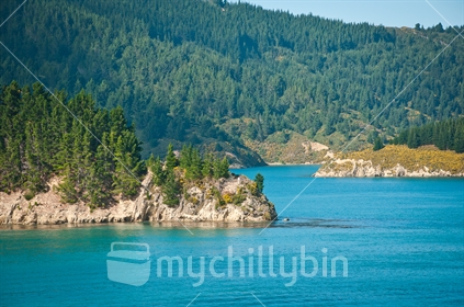 Oyster Bay in the Marlborough Sounds