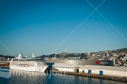 The Cruise Liner Regatta, and Westpac Stadium in Wellington