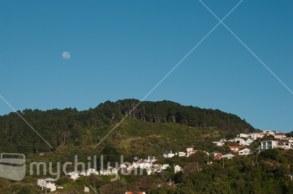 The moon over Wellingtons Town Belt & Stellin Memorial Park with houses in the Foreground