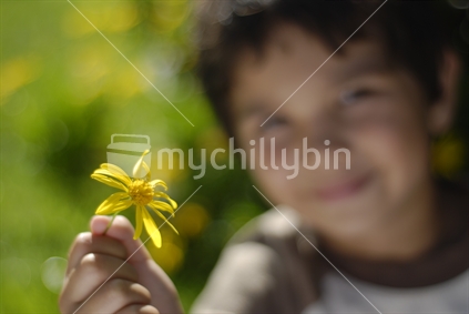 A happy young boy holds a yellow flower 