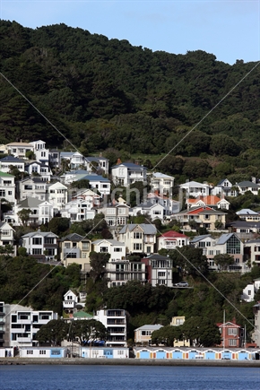 Old villas climb the hill above Wellington Harbour, North Island, New Zealand