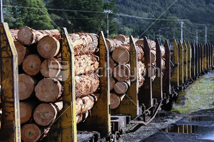 Flatbed logging wagons on a train near Arthurs Pass, South Island, New Zealand