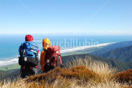 Tramping the Croesus Track, West Coast
 