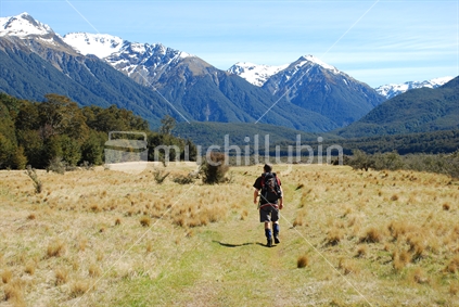 Tramping up Old River Valley, South Island, New Zealand