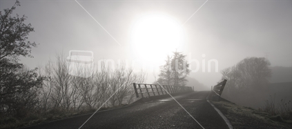 Atmospheric early morning shot down Island Block Road in the Waikato, New Zealand