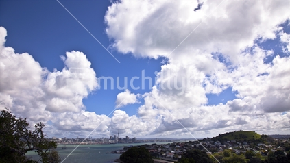 View of Auckland from Devonport, New Zealand