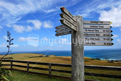 Sign Post at Lookout, Shakespear Regional Park